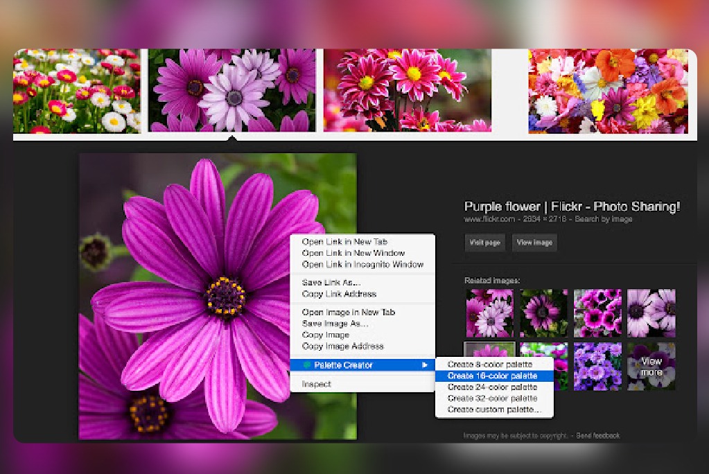 Palette creator - Create Colour palette from any image